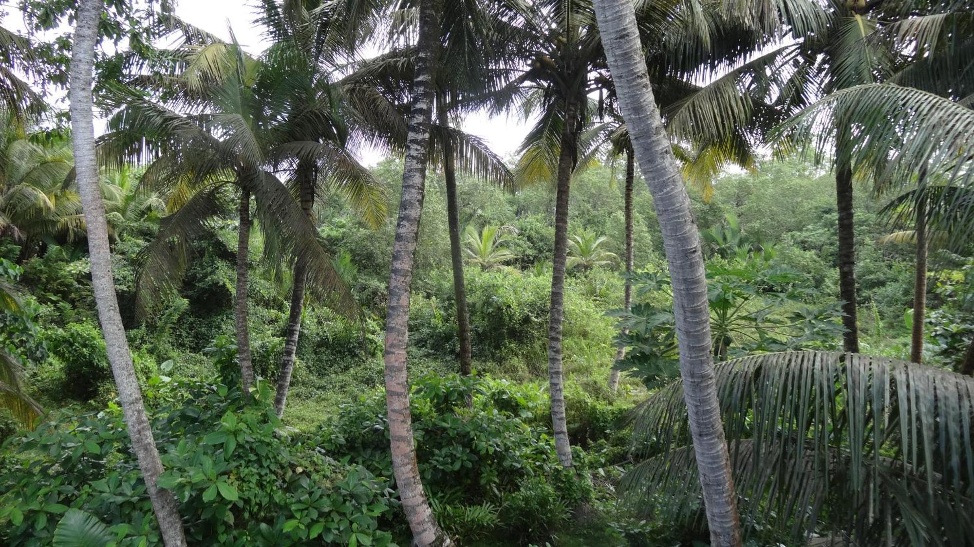 Ranil Villa Galle Buitenkant foto
